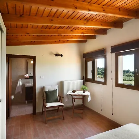 Sani فيلة باراليا ساني